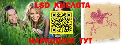 шишки Партизанск