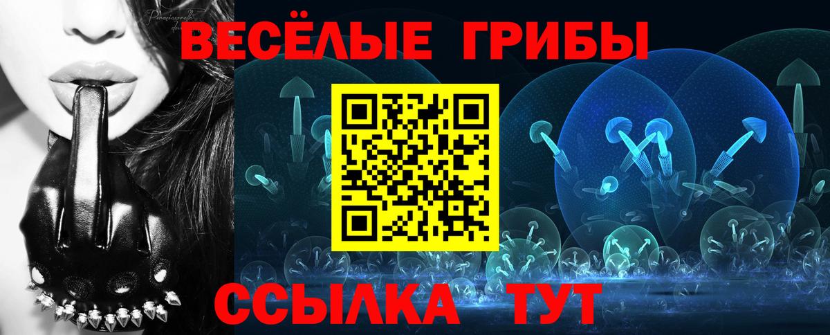 Галлюциногенные грибы Psilocybe  Псилоцибиновые грибы GOLDEN TEACHER  Вход с VPN  Семёнов 