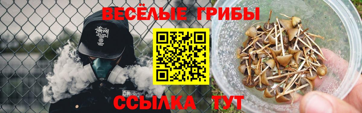 Галлюциногенные грибы мицелий Семёнов