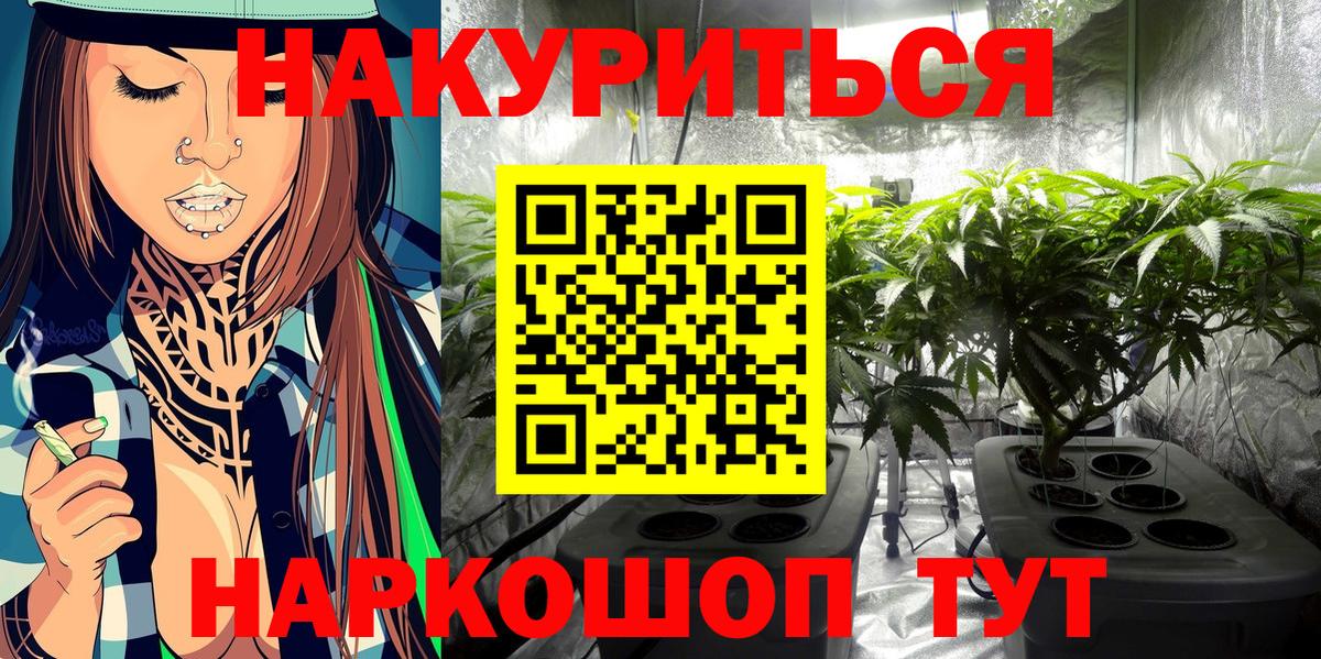 Бошки марихуана марихуана  Бошки Шишки Bruce Banner  Семёнов  Каннабис THC 21%  Вход с VPN 